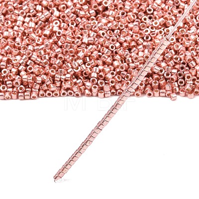 MIYUKI Delica Beads X-SEED-J020-DB2503-1