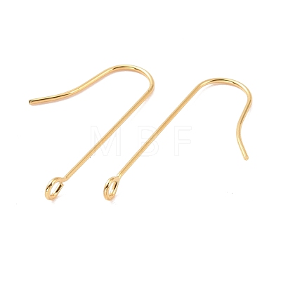 316 Surgical Stainless Steel Earring Hooks STAS-E027-01B-G-1