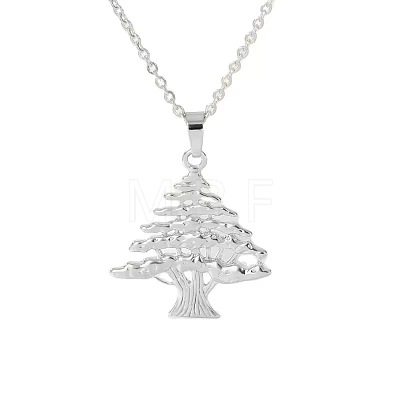 304 Stainless Steel Pendant Necklaces for Women WGAB0B0-02-1
