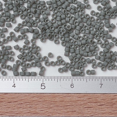 MIYUKI Delica Beads SEED-JP0008-DB0761-1
