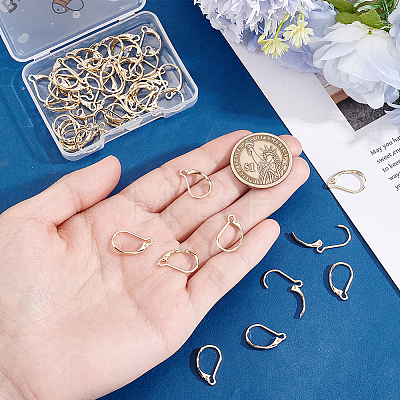 50Pcs 304 Stainless Steel Leverback Earring Findings STAS-BBC0011-11-1