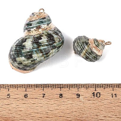 Electroplate Natural Spiral Shell Pendants SSHEL-Q100-55G-1