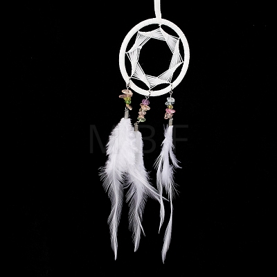 Iron Woven Web/Net with Feather Pendant Decorations AJEW-B017-01-1
