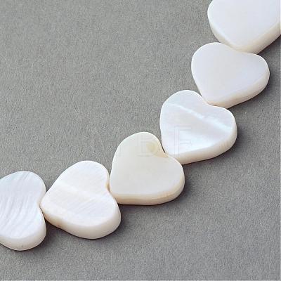 Natural Sea Shell Beads Strands SSHEL-Q296-40-1