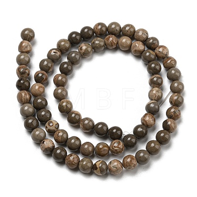 Natural Map Stone/Picasso Stone Beads Strands G-R494-A24-02-1