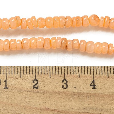 Dyed Natural Freshwater Shell Beads Strands X1-BSHE-G039-07A-1