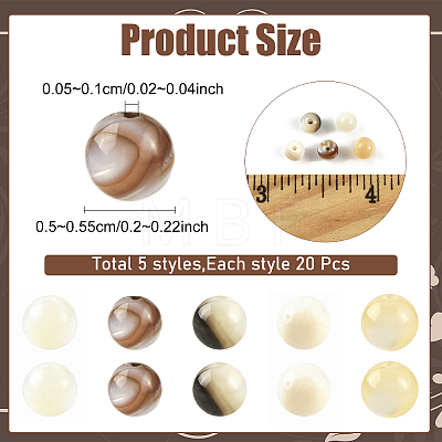 100Pcs 5 Styles Natural White Shell & Trochid Shell & Freshwater Shell Beads SSHEL-YW0001-17-1