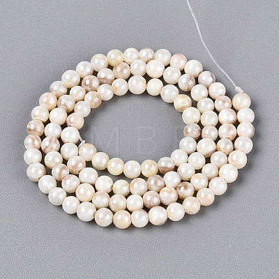 AB Color Natural Freshwater Shell Beads Strands BSHE-T014-40C-1