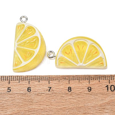 Fruit Theme Opaque Resin Imitation Food Pendants RE-CBA49A8-04B-1