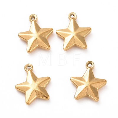 201 Stainless Steel Charms STAS-G081-09G-1