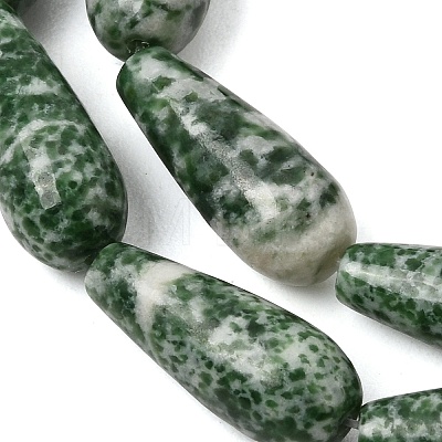 Natural Green Spot Jasper Beads Strands GG-CBA0487-B03-8x21mm-1