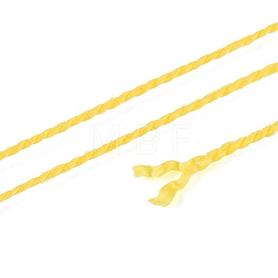 Braided Polyester Cord OCOR-T017-04A-33-1
