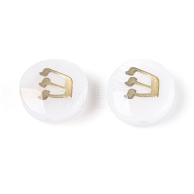 Natural Freshwater Shell Beads BSHE-ZX007-03F-1