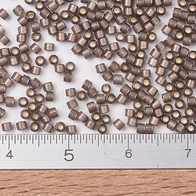 MIYUKI Delica Beads SEED-J020-DB2184-1