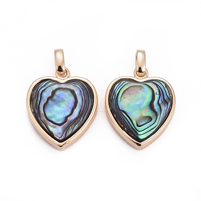 Natural Abalone Shell/Paua ShellCharms X-BSHE-F011-04B-G-1