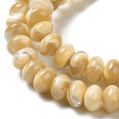 Natural Trochus Shell Beads Strands SHEL-K006-25A-1