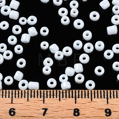 Glass Seed Beads SEED-S061-A-979-1