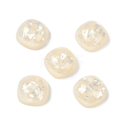 Translucent Epoxy Resin & Shell Decoden Cabochons CRES-S367-02-1