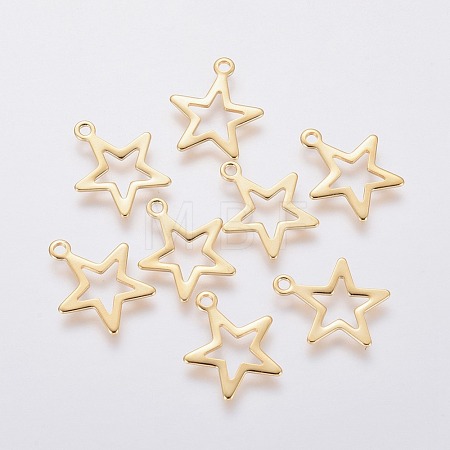304 Stainless Steel Charms STAS-L234-095G-1