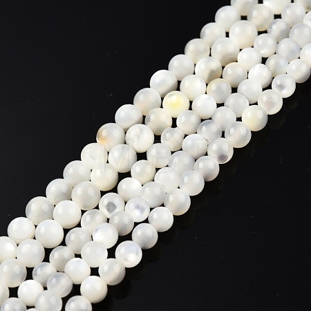 Natural White Shell Bead Strands SSHEL-N003-144C-01-1