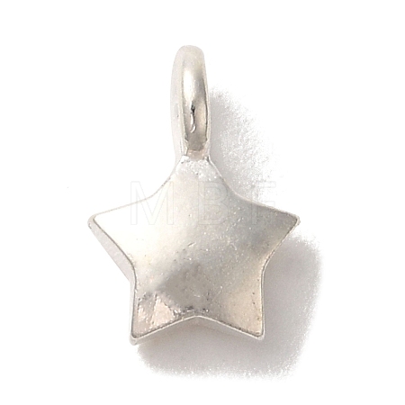 925 Sterling Silver Charms LS-FIND-U013-06S-02-1