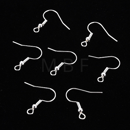 304 Stainless Steel Earring Hooks S057-42S-1
