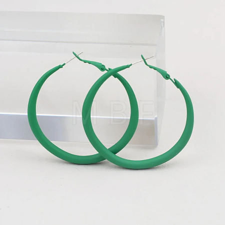 Spray Painted Alloy Hoop Earrings FS-WG43B6B-03-1