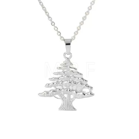 304 Stainless Steel Pendant Necklaces for Women WGAB0B0-02-1