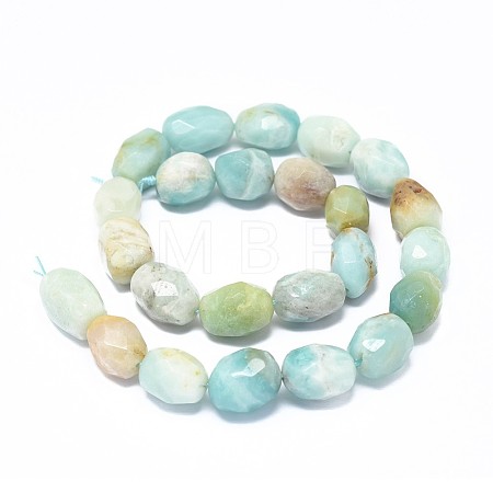 Natural Amazonite Beads Strands G-F632-18-1
