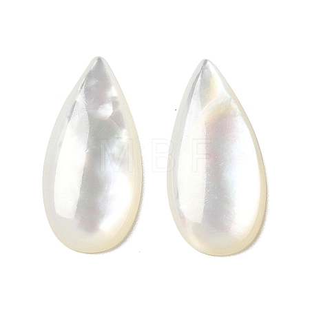 Natural White Shell Cabochons SSHEL-M022-04-1