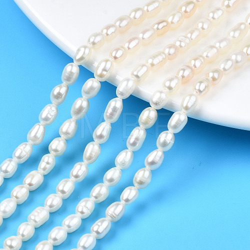 Natural Cultured Freshwater Pearl Beads Strands X-PEAR-N012-04B-1