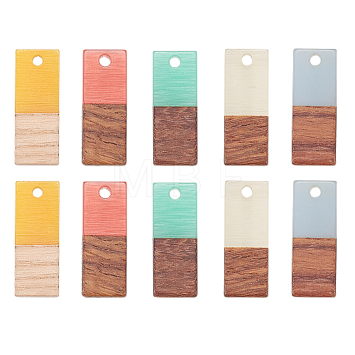 Resin & Wood Pendants RESI-CJ0006-01-1