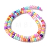 Natural Freshwater Shell Beads Strands X-SSHEL-C013-08B-2