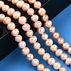 Natural Cultured Freshwater Pearl Beads Strands PEAR-N013-05J-2