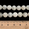 Natural White Moonstone Beads Strands G-L664-A01-8mm-5