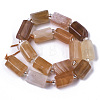 Synthetic Orange Botswana Agate Beads Strands X-G-N327-04-02-2