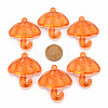Transparent Acrylic Pendants TACR-T024-01B-921-3