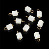 10Pcs Natural Shell Column Charms SHEL-TA0001-38-4