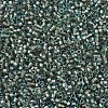 MIYUKI Delica Beads X-SEED-J020-DB2379-3