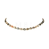 Natural Paua Shell Oval Beaded Necklaces with Brass End Chains for Men Women NJEW-JN06043-3