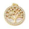 Brass Micro Pave Cubic Zirconia Pendants KK-K298-16G-02-1