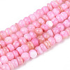 Natural Freshwater Shell Dyed Beads Strands SHEL-T020-29A-06-1