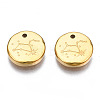316 Surgical Stainless Steel Charms LS-STAS-S116-418H-G-2