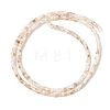 Natural Freshwater Shell Beads Strands SHEL-K006-72A-2