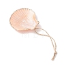 Electroplate Multicolor Sea Shell Pendant Decorations HJEW-JM04622-5
