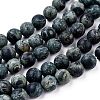 Frosted Natural Kambaba Jasper Beads Strands G-M272-14-10mm-3