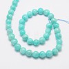 Round Natural Amazonite Bead Strands G-L425-23-10mm-2