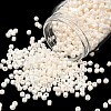 TOHO 6/0 Round Beads X-SEED-TR06-0123L-1
