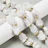 Electroplated Natural Druzy Agate Beads Strands G-G289-02B-1