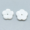 Freshwater Shell Beads SHEL-S275-015-2